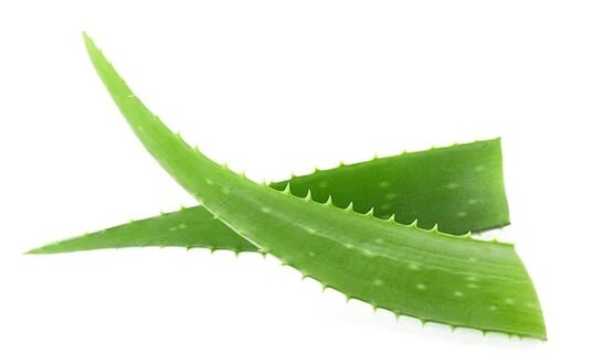 Brand Fungeent  brand obsahuje aloe vera